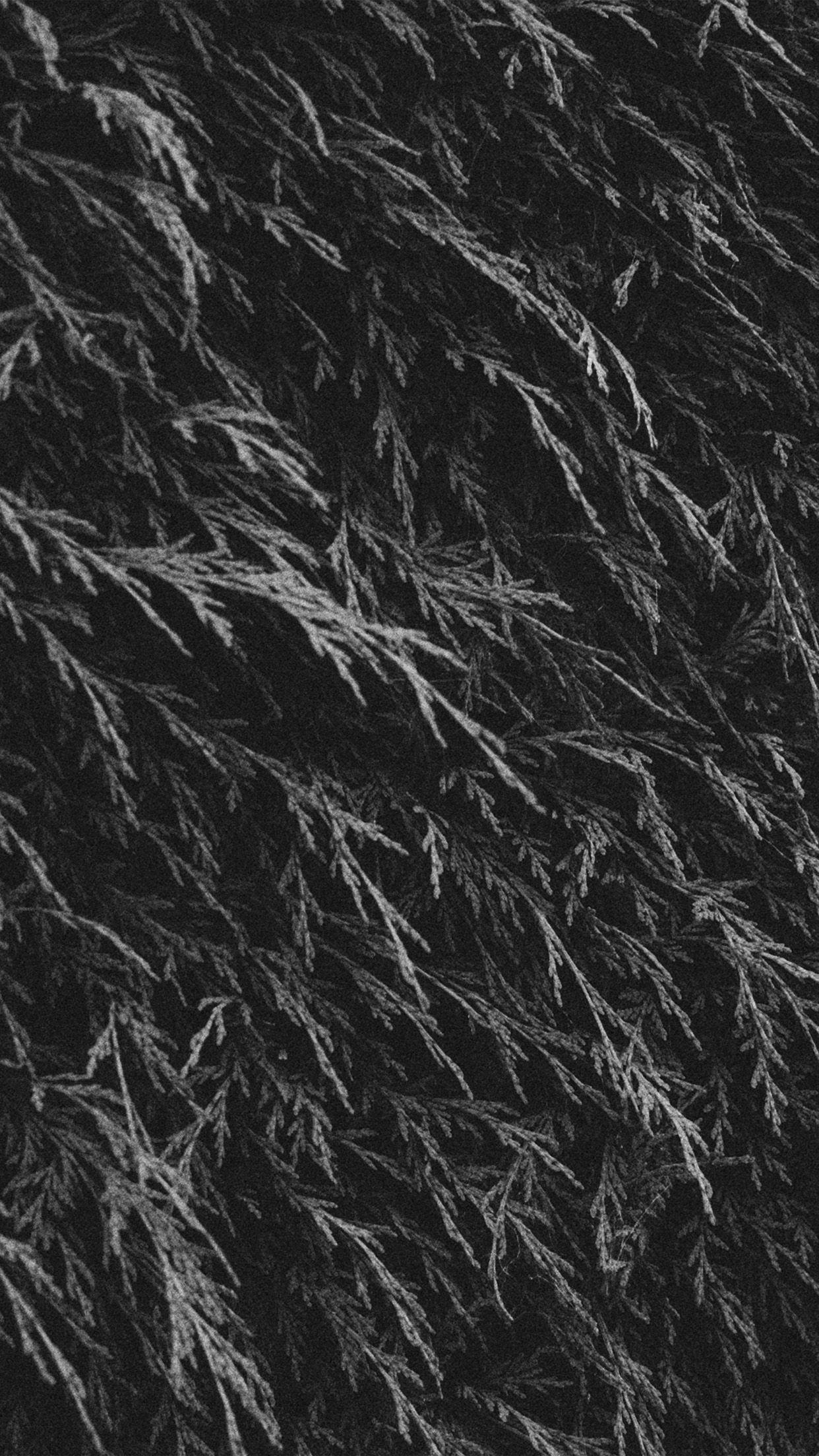 1242x2208 Tree Green Leaf Summer Pattern Nature Dark Bw Android