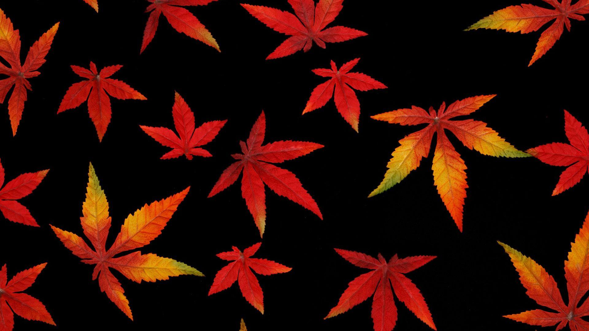 Black Leaf Wallpapers - Top Free Black Leaf Backgrounds - WallpaperAccess