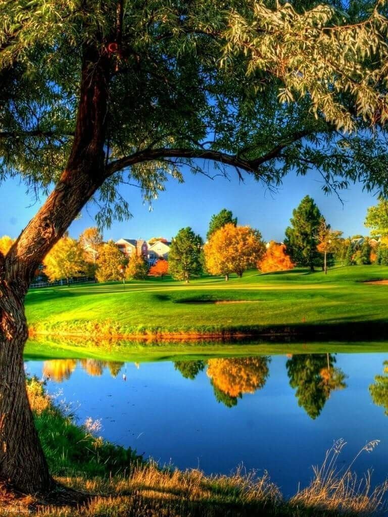 768x1024 Desktop background nature