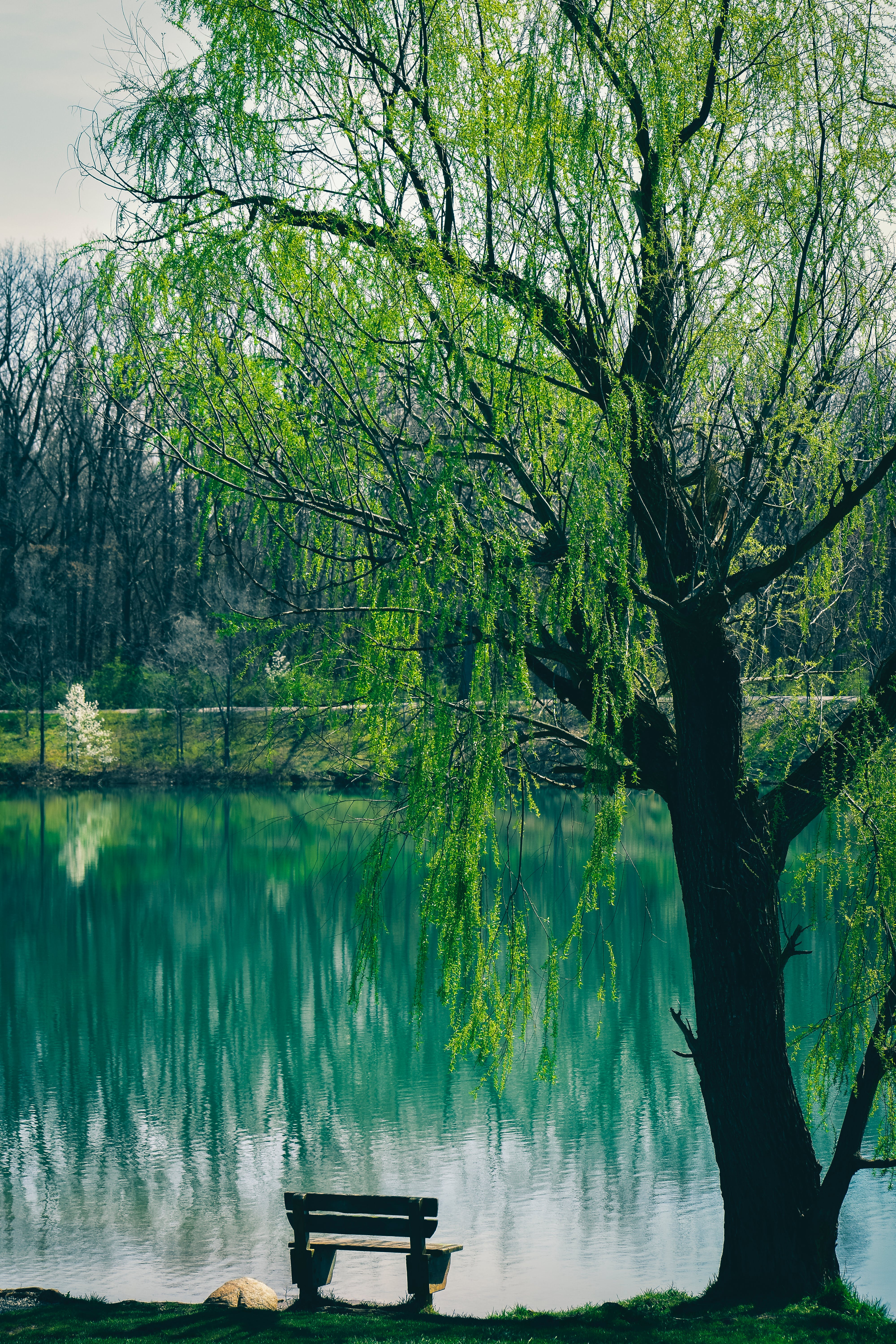 4000x6000 Beautiful Place & HD Image