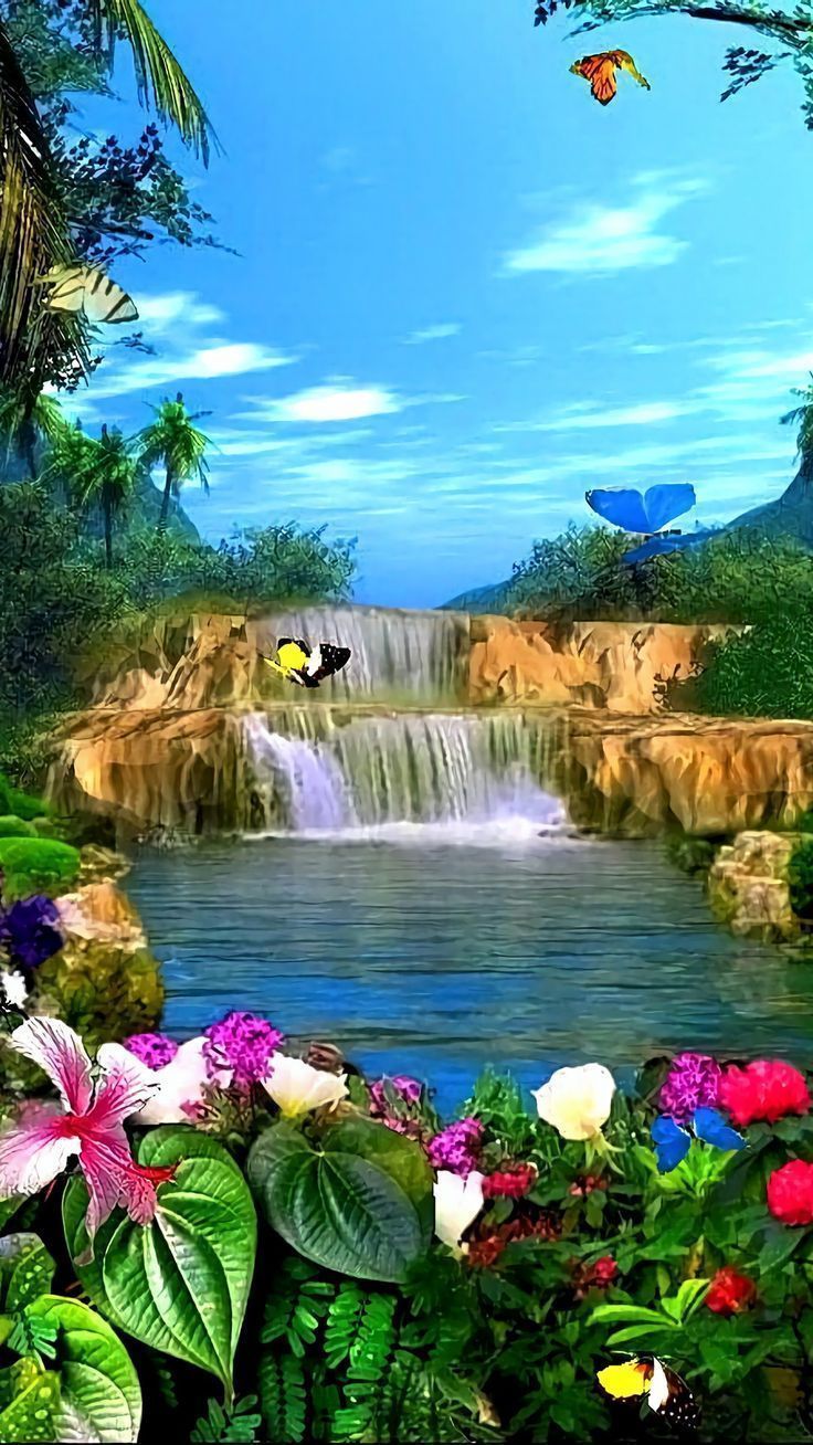 736x1308 Beautiful photography nature