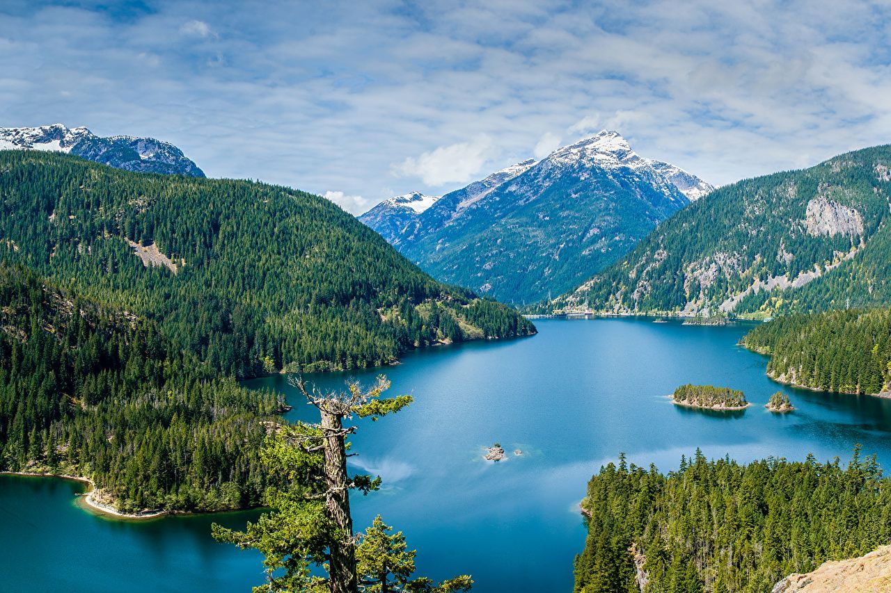 1280x853 Photos USA Diablo Lake Nature Mountains