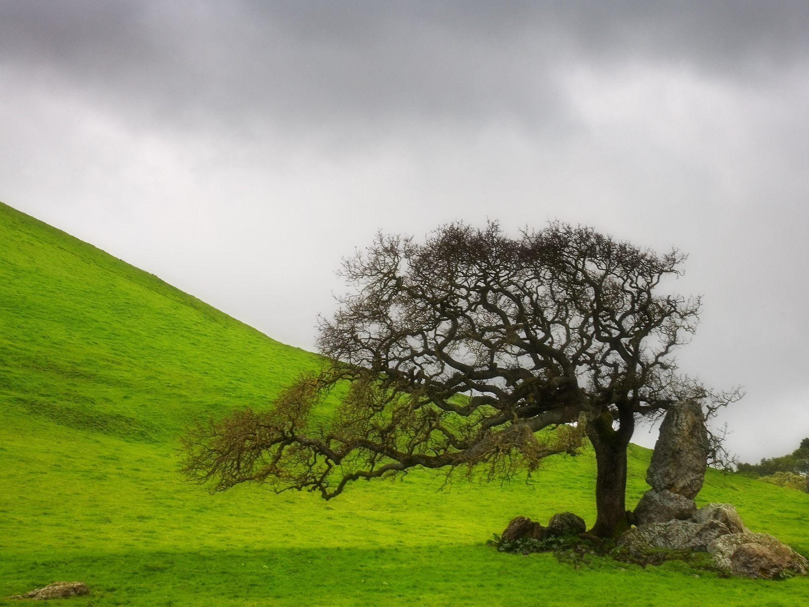 1600x1200 Natural Place Wallpaper