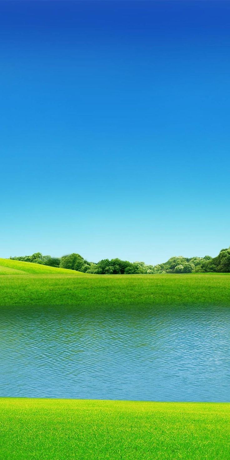 736x1472 Quick saves. Landscape