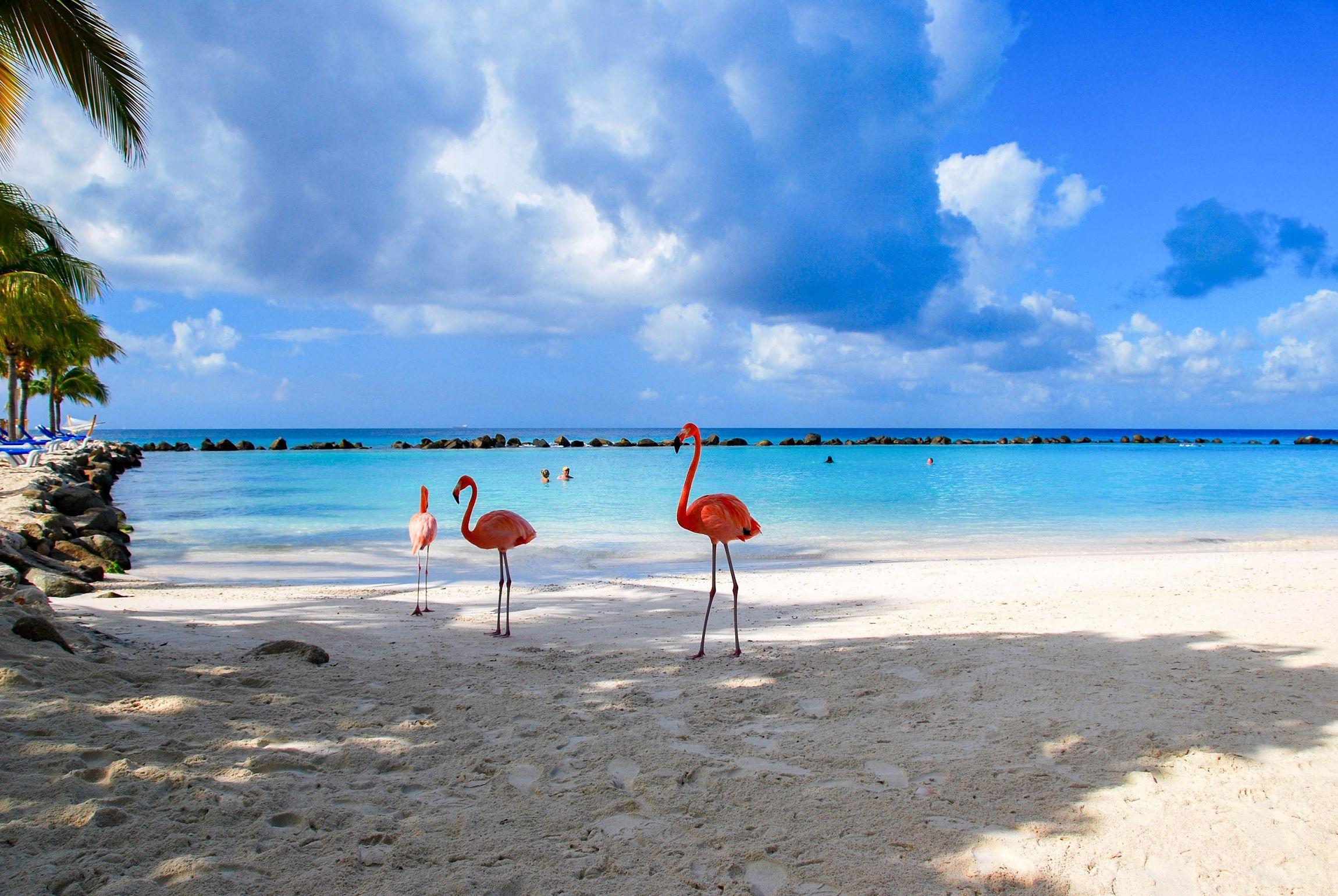 Aruba Wallpapers - Top Free Aruba Backgrounds - WallpaperAccess