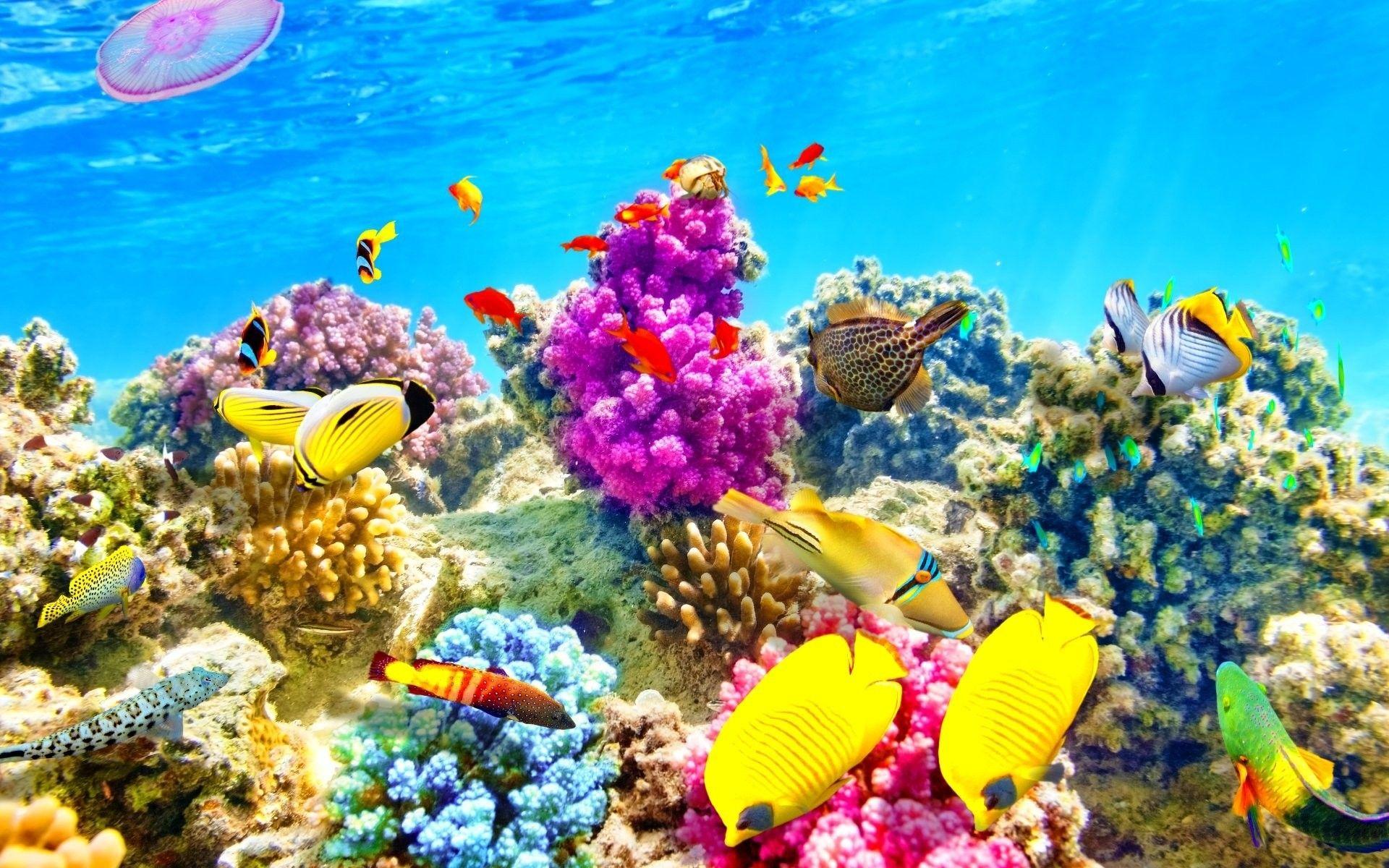 1920x1200 Ocean Desktop Wallpaper background picture