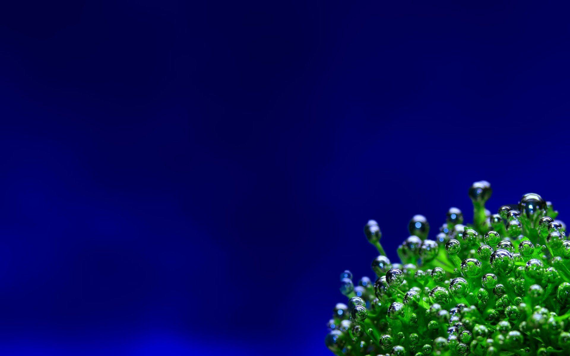 1920x1200 Belize HD Wallpaper and Background Image