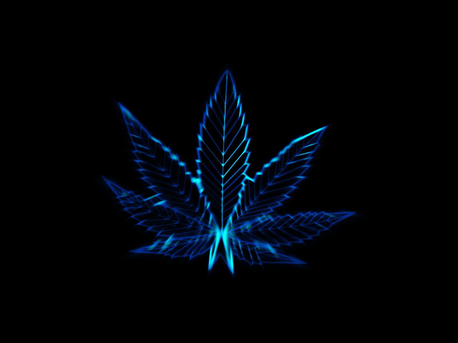 1600x1200 pot wallpaper