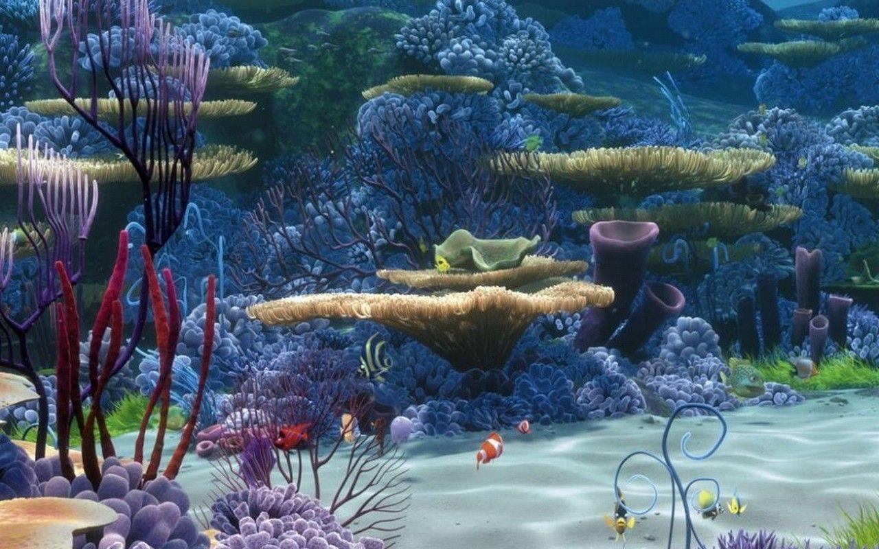 1280x800 1280x800px Coral Reef Background