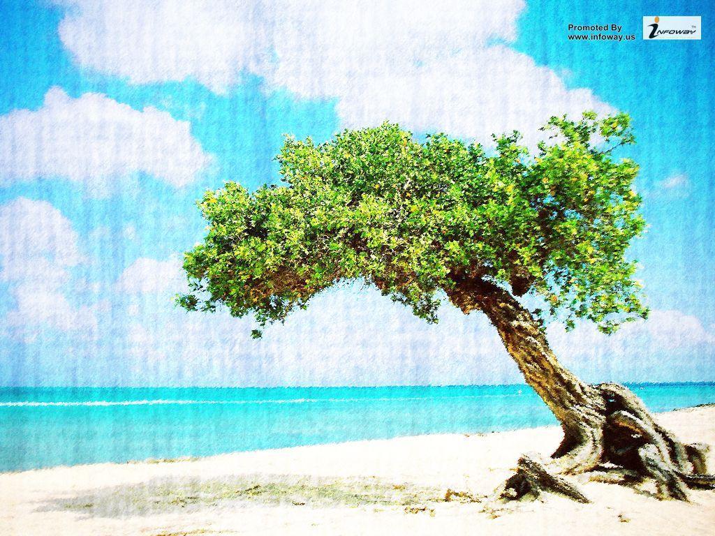 1024x768 Aruba Beach Wallpaper HD Wallpaper