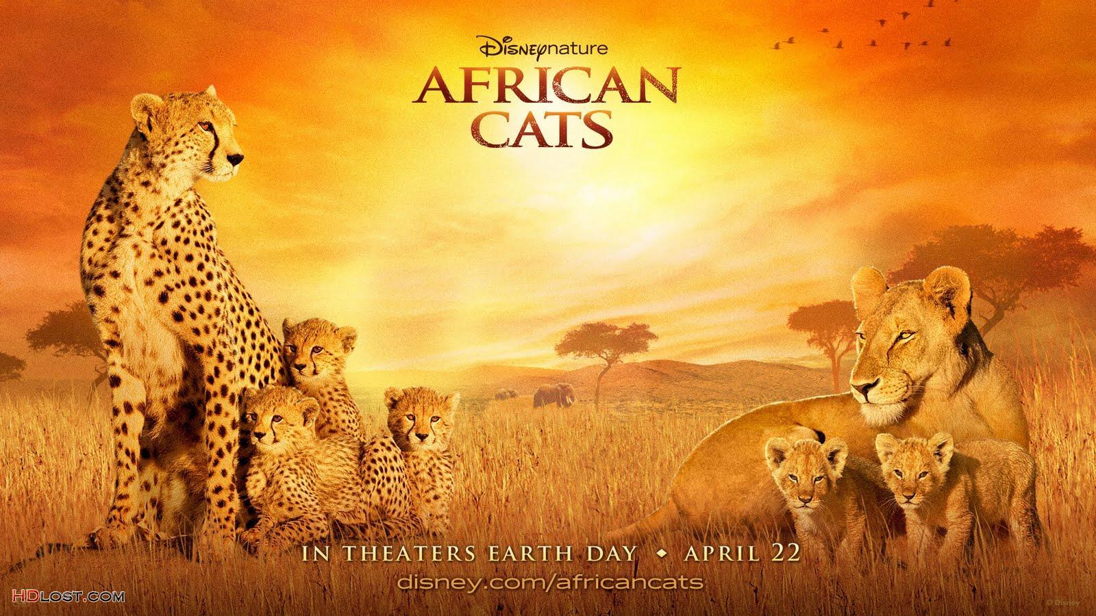 1600x900 african art wallpaper