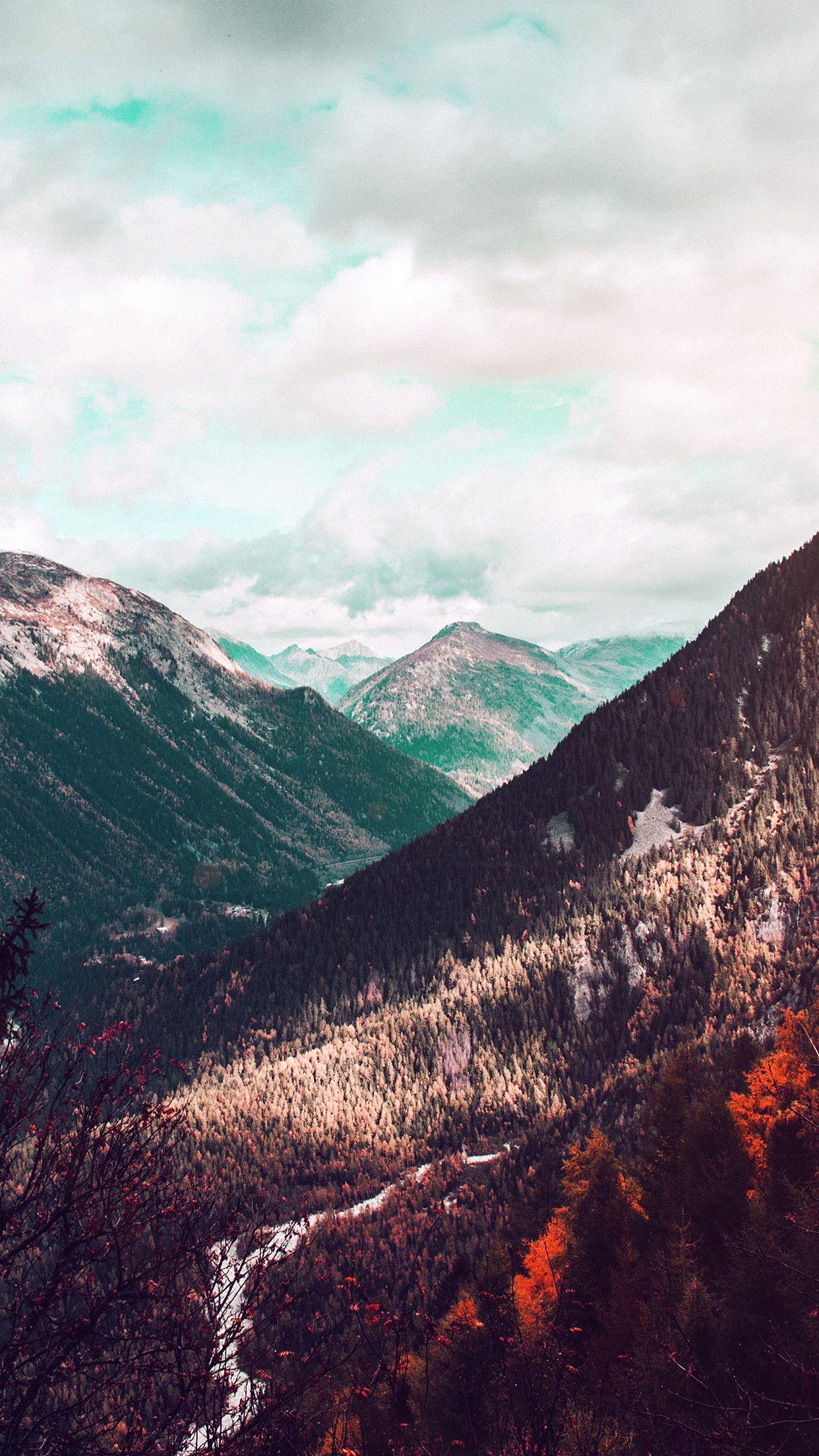 1242x2208 iPhone wallpaper. mountain forest
