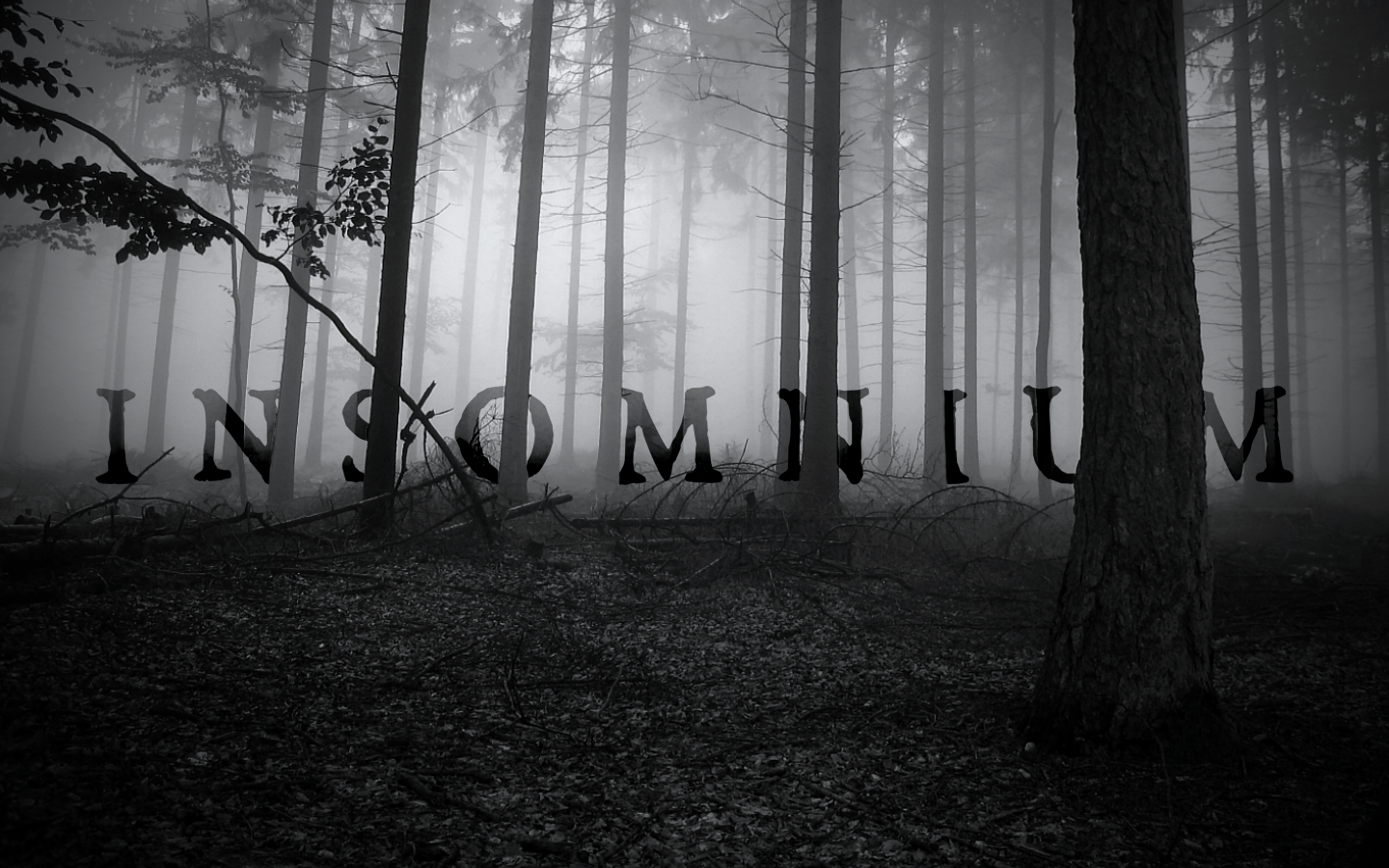 1440x900 Insomnium Wallpaper