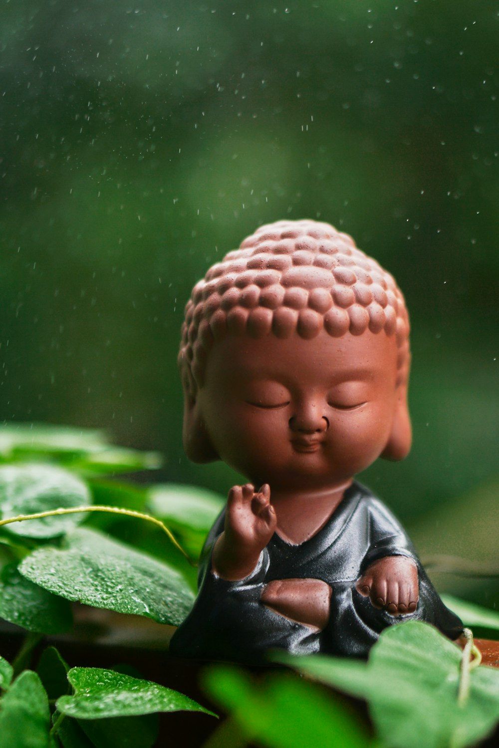 Little Buddha Wallpapers - Top Free Little Buddha Backgrounds ...
