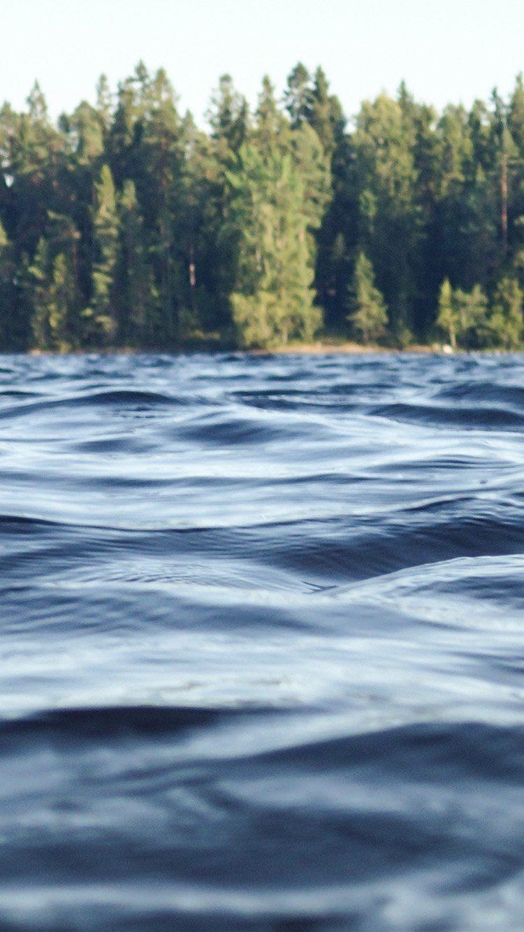 750x1334 Download Summer Nature Wallpaper