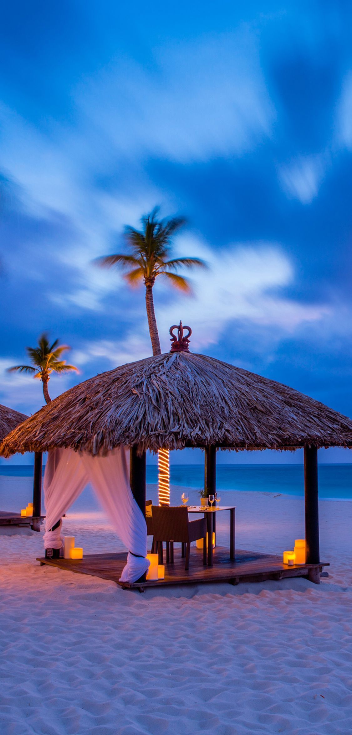 1125x2346 Wallpaper. Bucuti and Tara Beach Resort