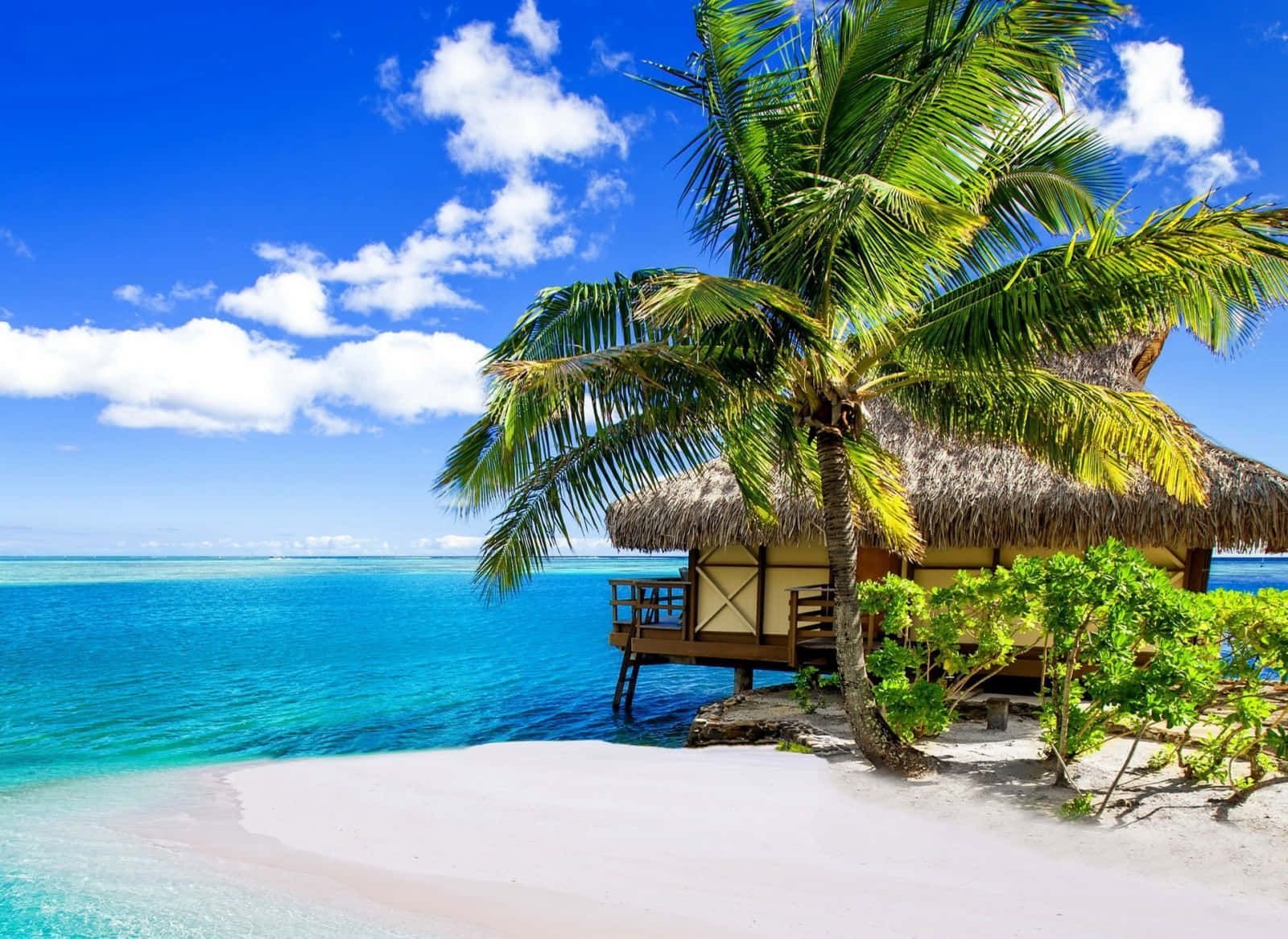 1600x1166 Tropical Beach Scenes Wallpaper