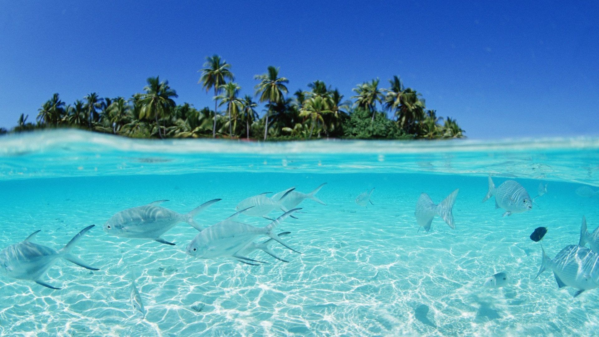 1920x1080 Stunning Maldives Beach Virtual