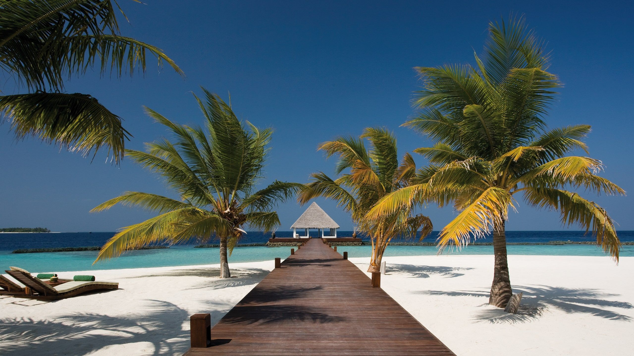 2560x1440 beach' at this hotel in the Maldives