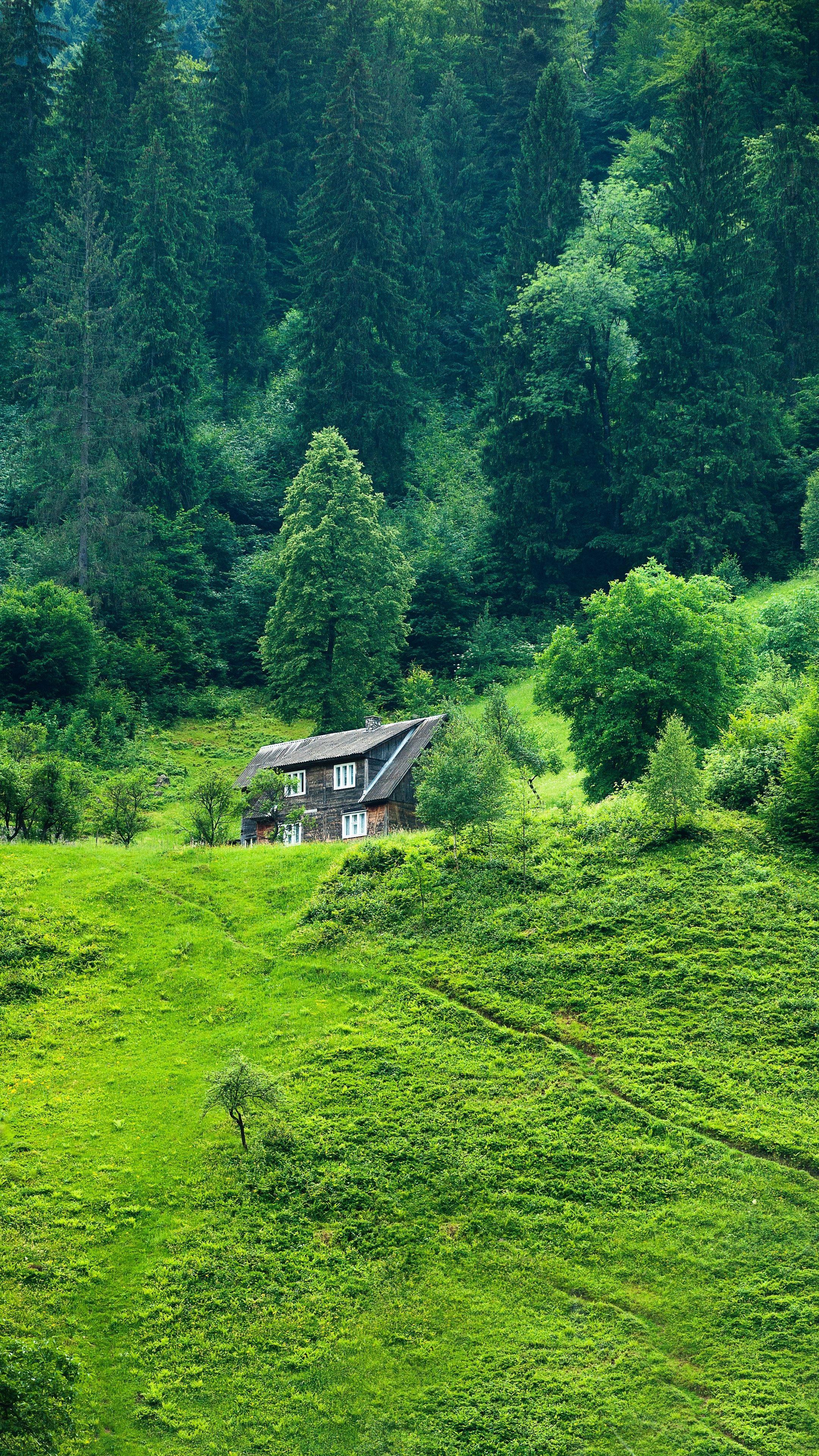 2160x3840 House Forest Summer Summery iPhone Android Wallpaper