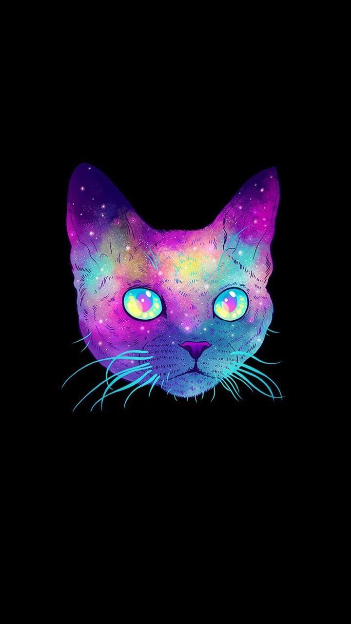 Neon Cat HD Wallpapers - Top Free Neon Cat HD Backgrounds - WallpaperAccess