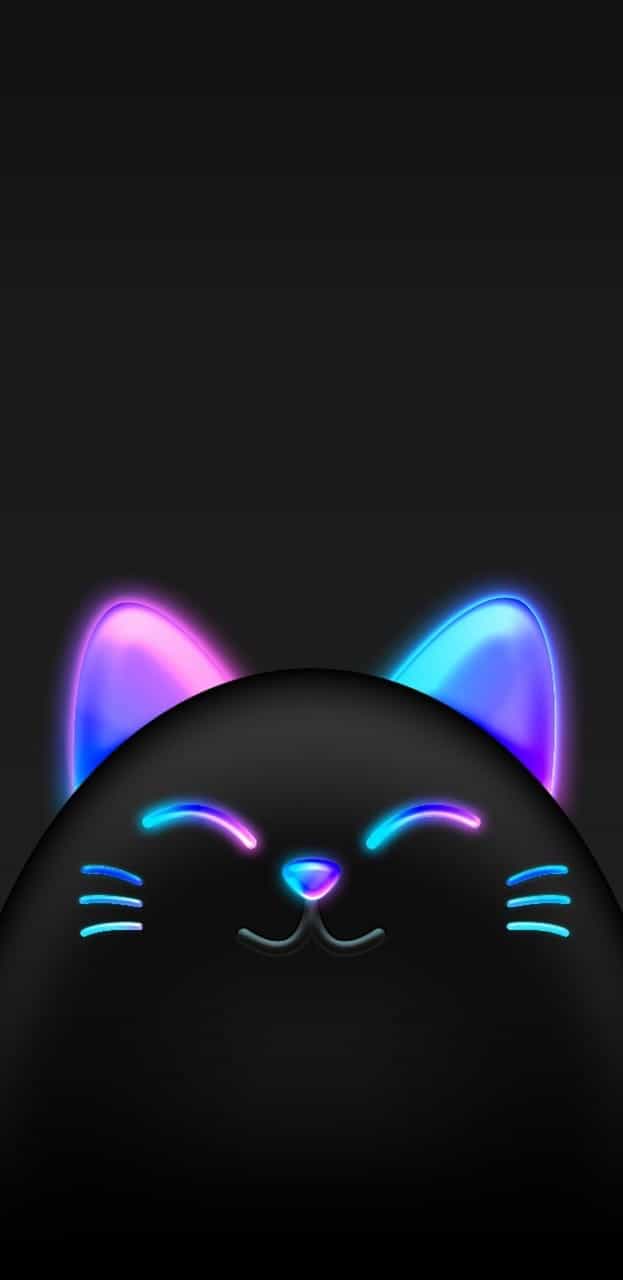 Neon Cat Wallpapers - Top Free Neon Cat Backgrounds - WallpaperAccess