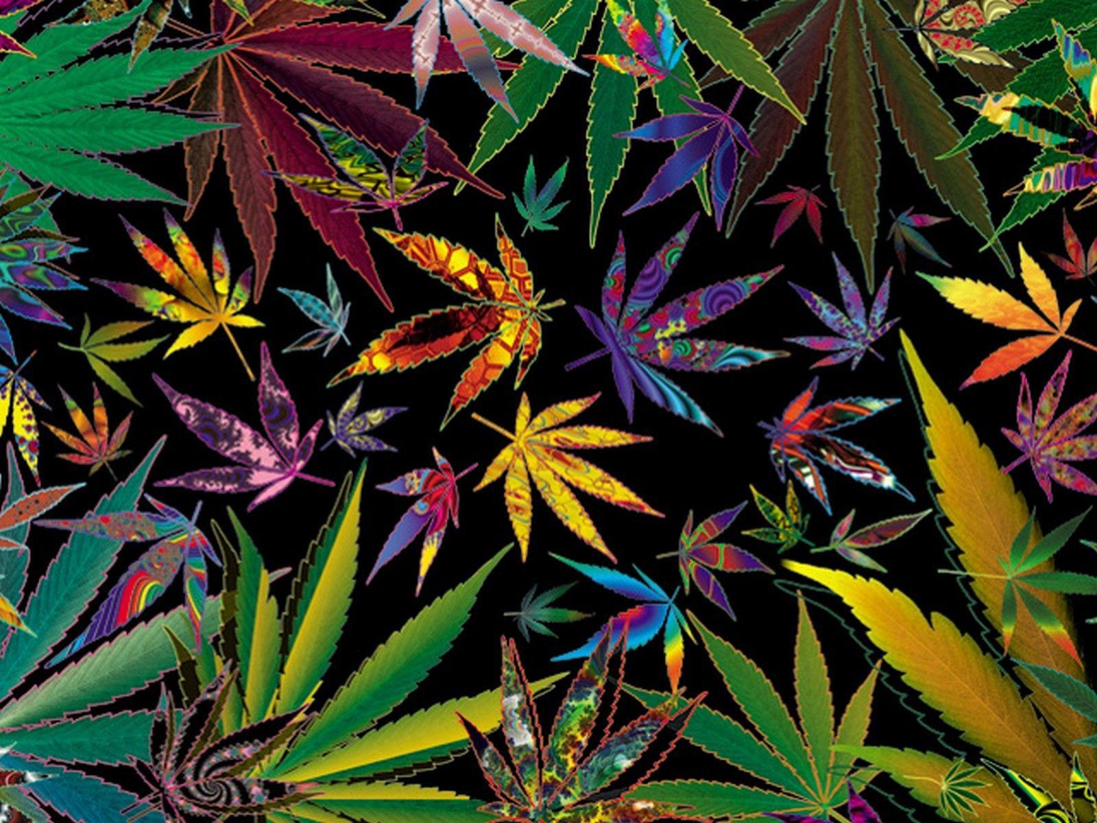 1600x1200 Trippy Multi Pot Leaves