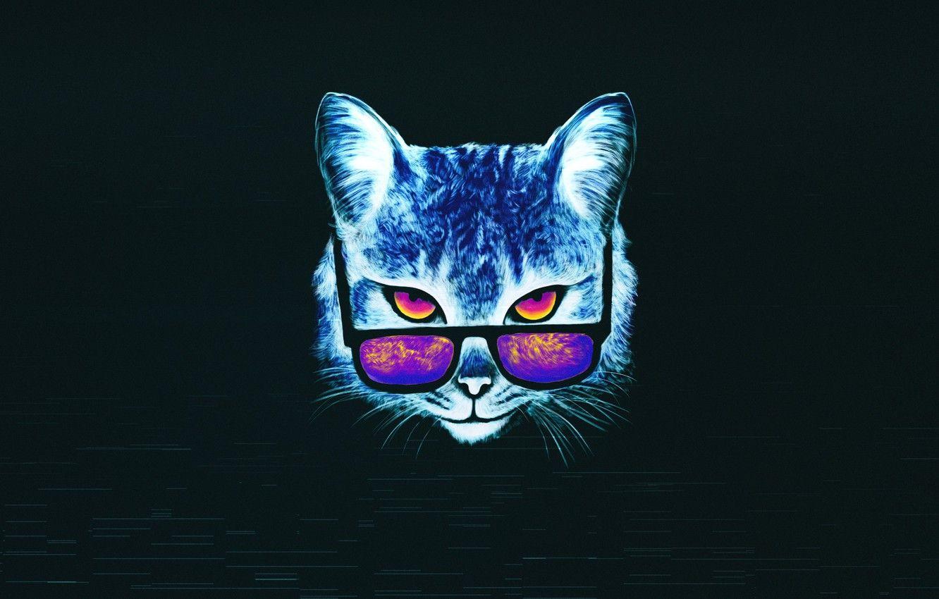 Neon cat HD wallpapers  Pxfuel