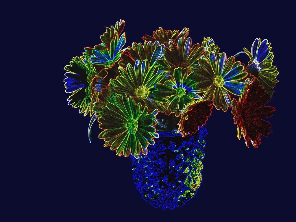 1024x768 Neon Flowers Still Life Petal Nature Vase Flower Wallpaper