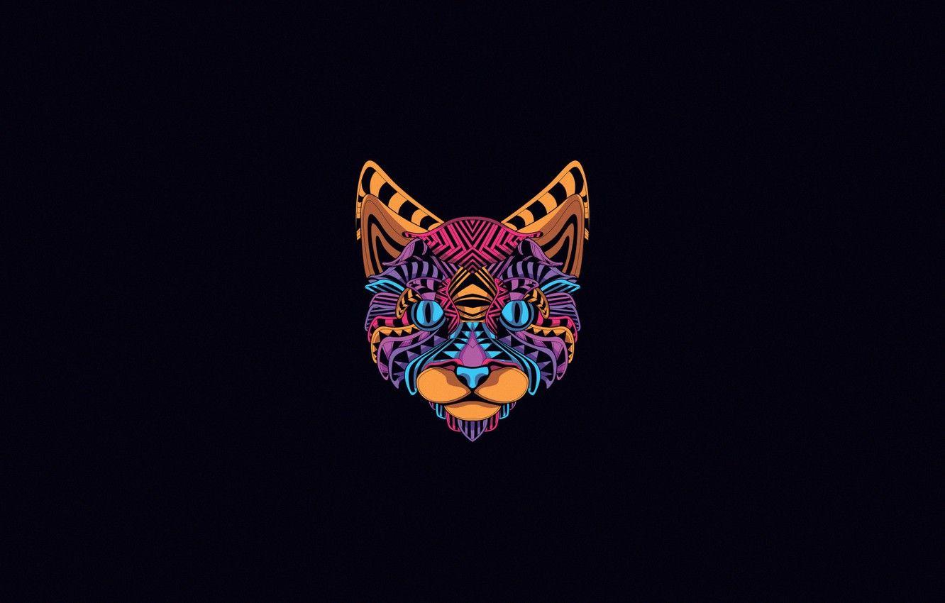 Free download Neon Cat Photography 3D and Fractal Pinterest 638x960 for  your Desktop Mobile  Tablet  Explore 30 Neon Cat Wallpapers  Neon  Wallpapers Wallpaper Neon Cat Backgrounds