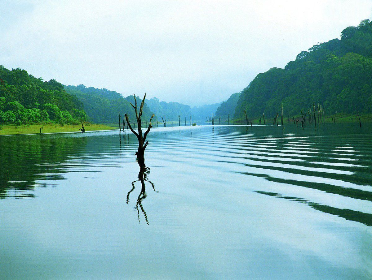 1200x905 jose abraham / X