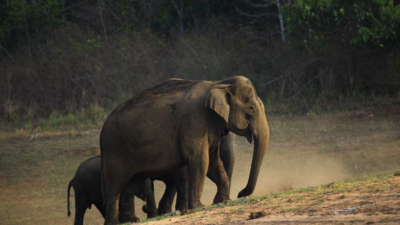 1600x900 Tourism Attractions, Thekkady, kerala