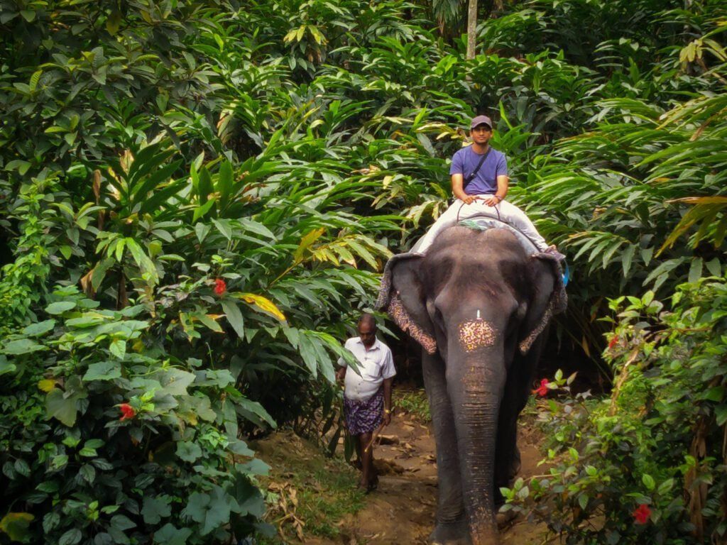 1024x768 4.6. Thekkady