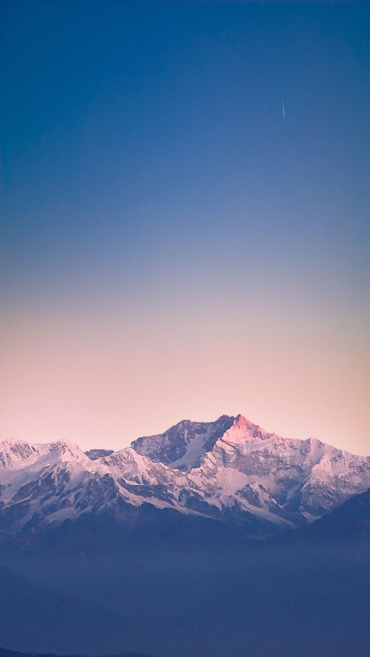 736x1308 phone wallpaper dumpity dump
