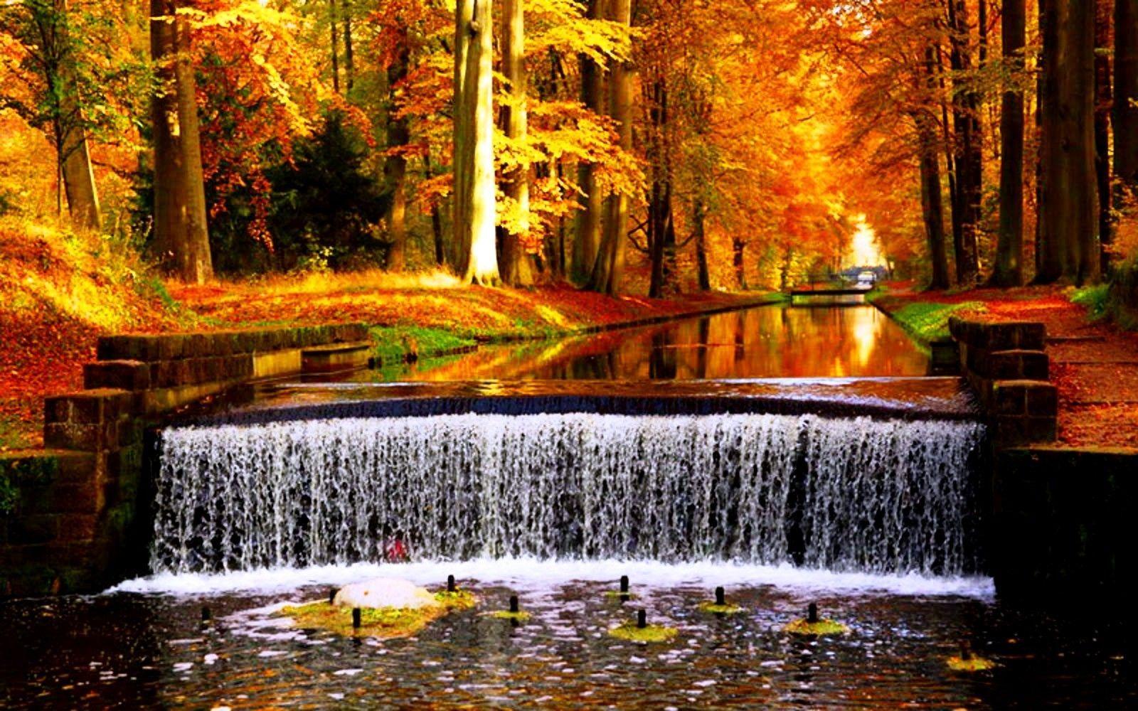 1600x1000 Fall Leaves Waterfall Wallpaper
