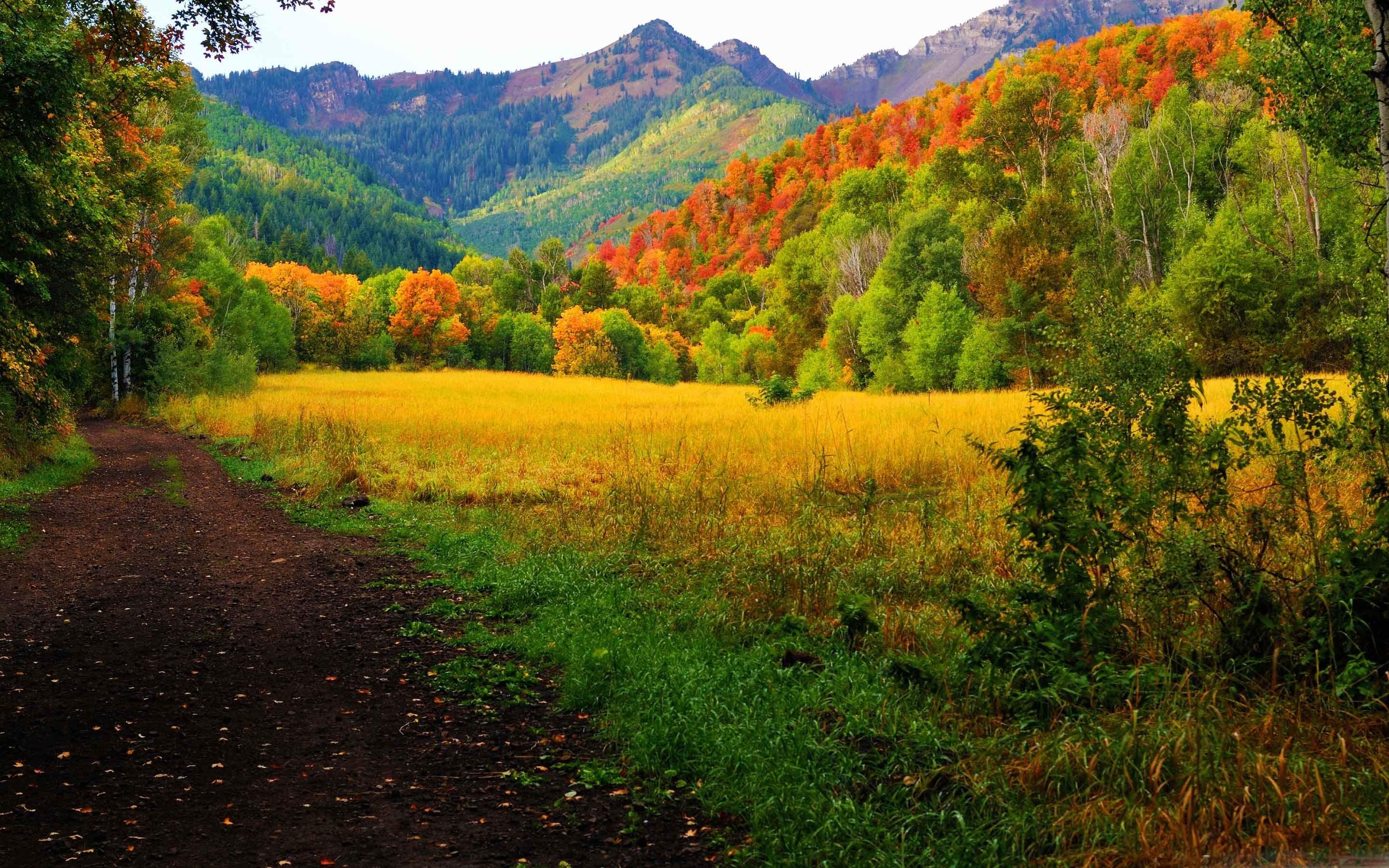2880x1800 Provo Canyon Fall Colors Mac Wallpaper Download. Free Mac