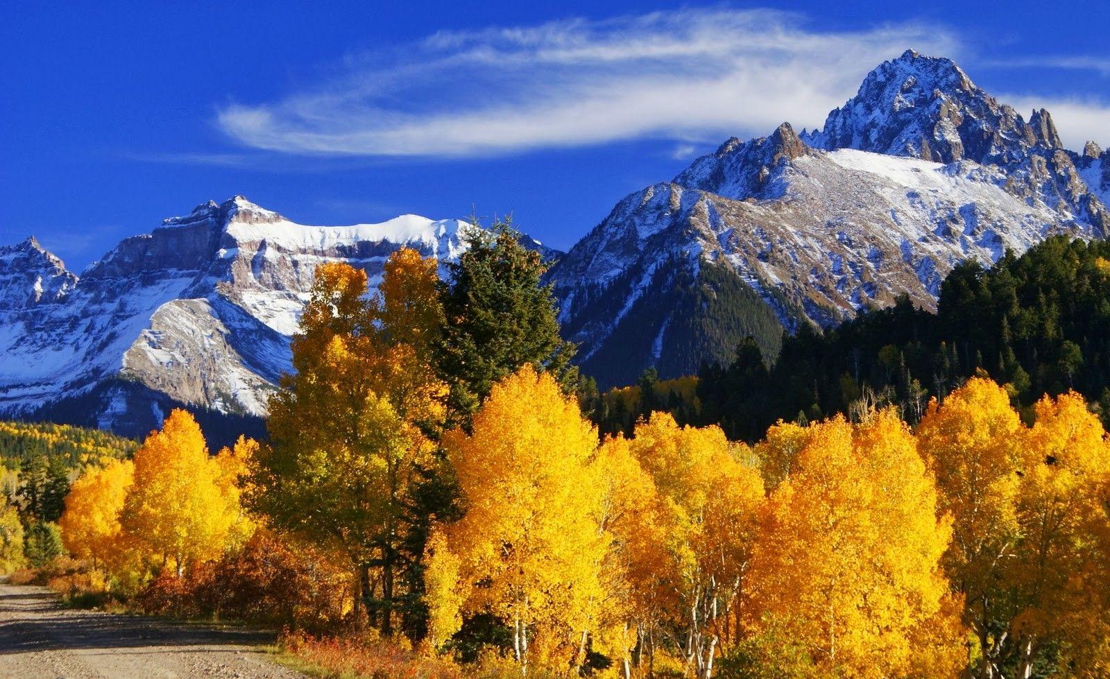 1600x979 Fall colors wallpaper Gallery
