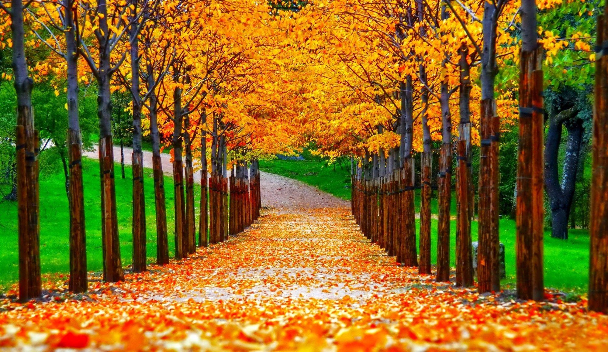 2000x1159 Fall Colors Wallpaper