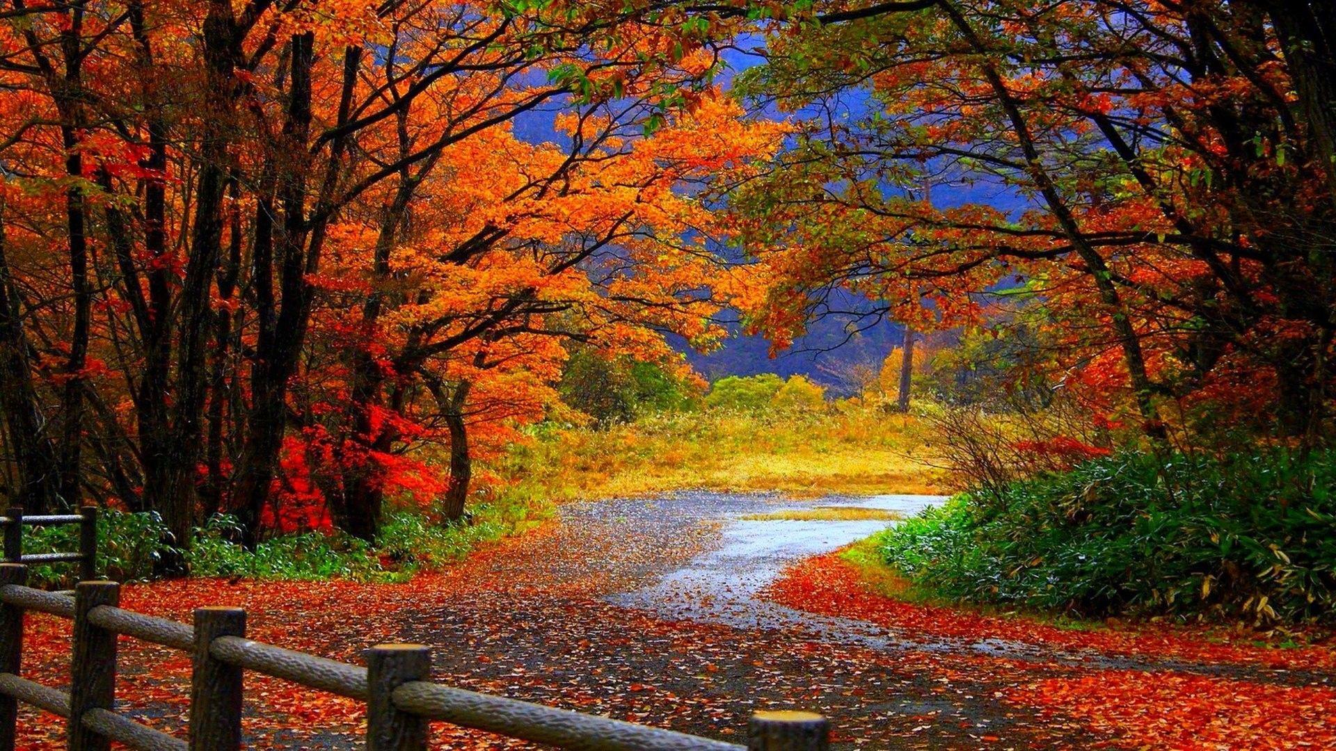 1920x1080 Fall Colors Reflection Wallpaper