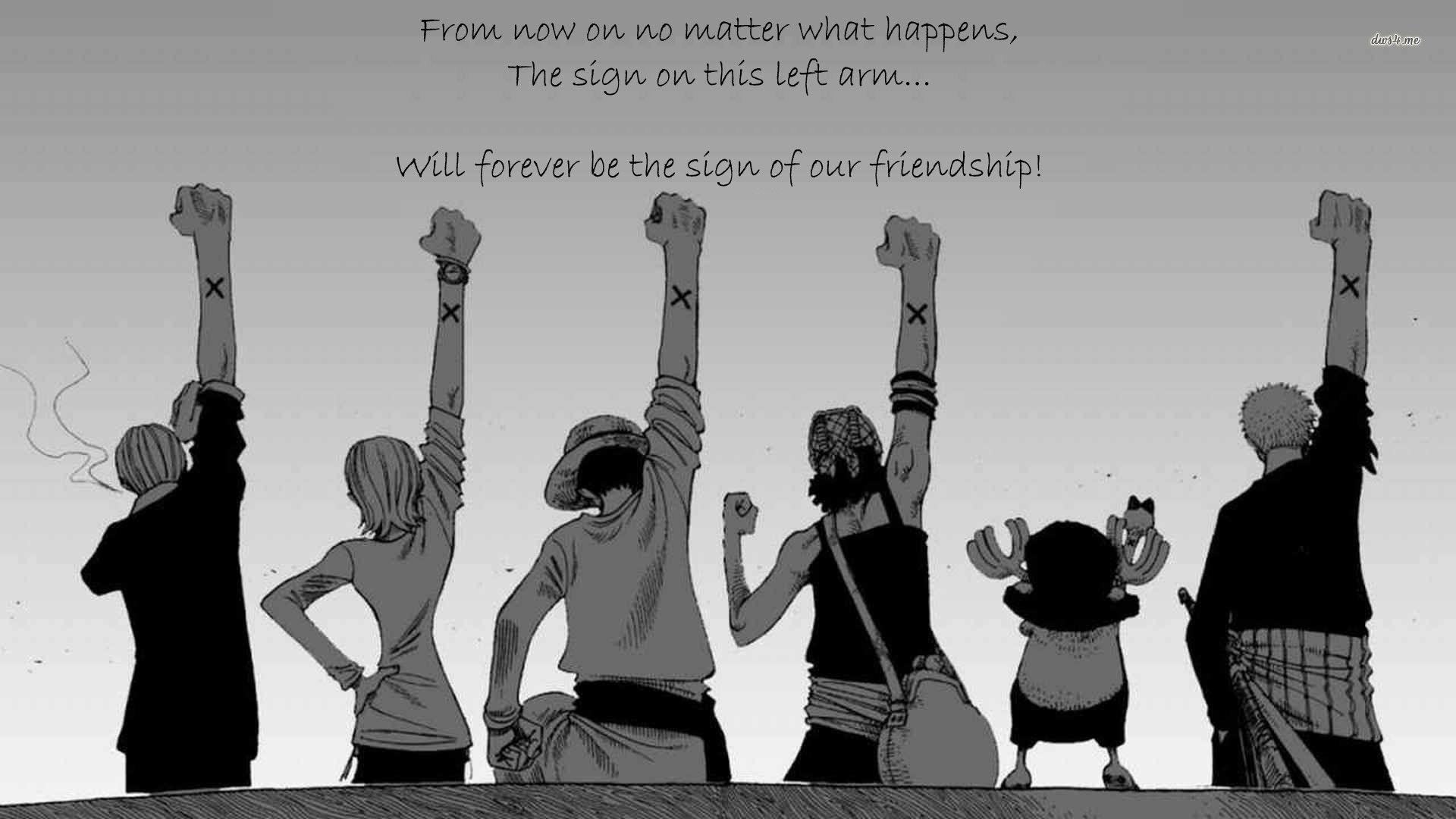 one piece quotes about friendship