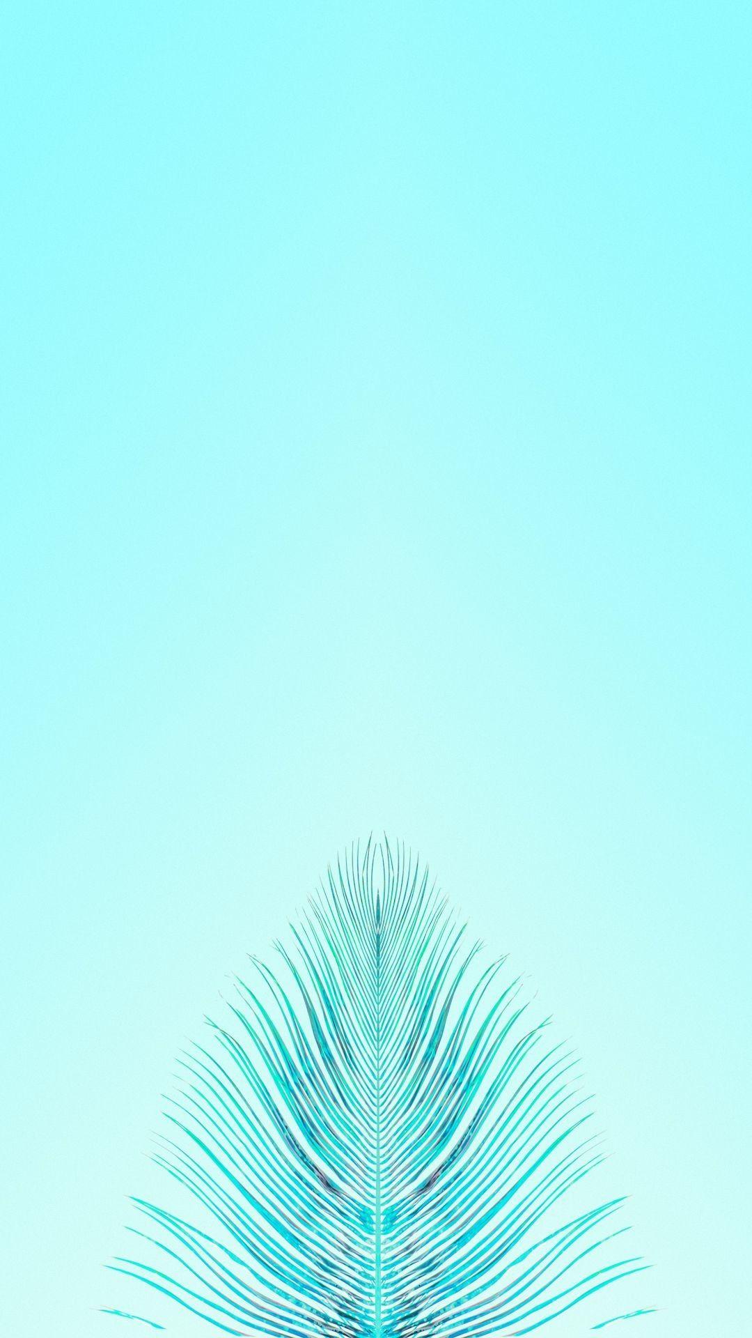 Teal Wallpapers (71+ pictures)
