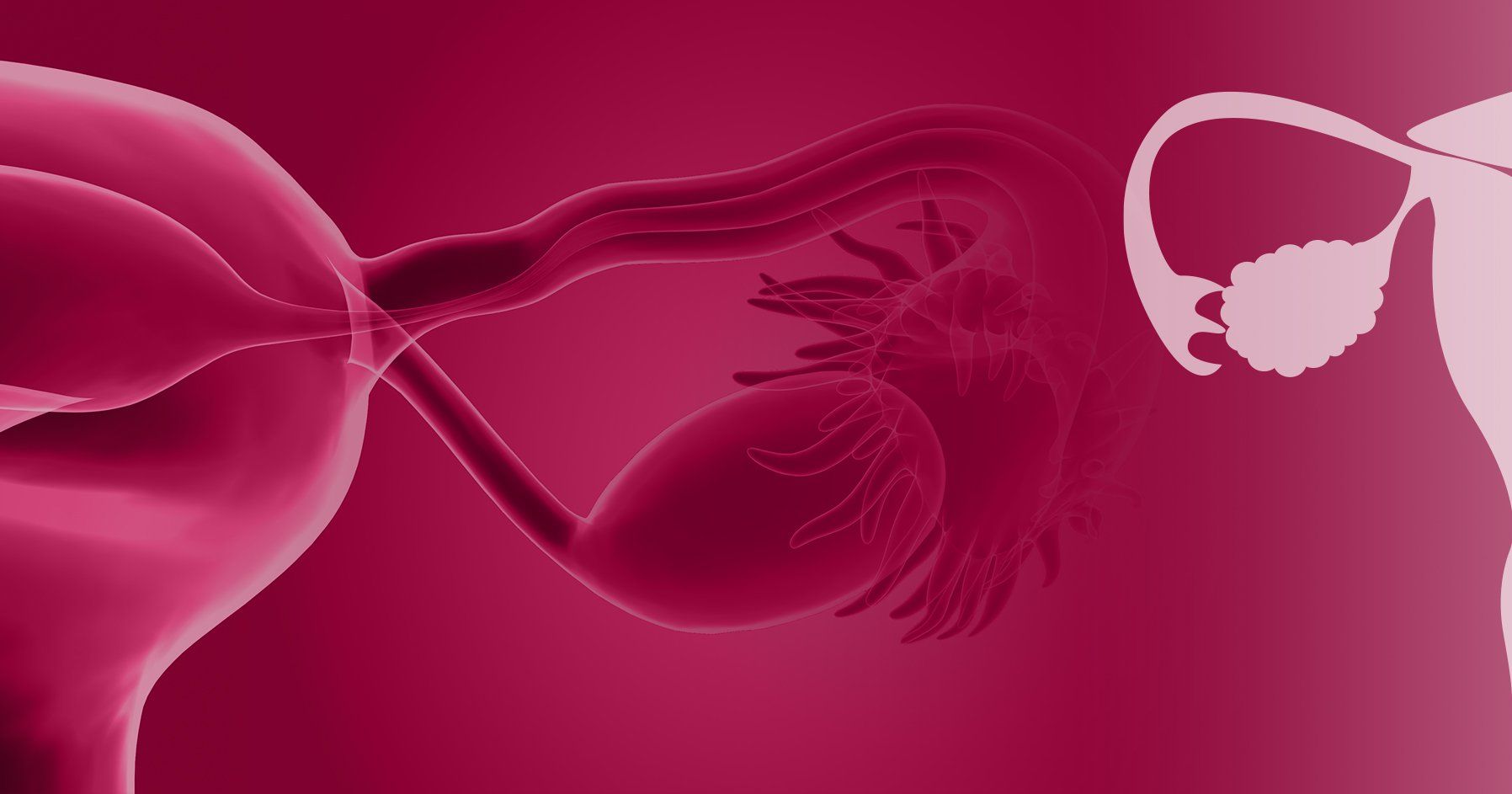 1796x943 Female Reproductive Endocrinology
