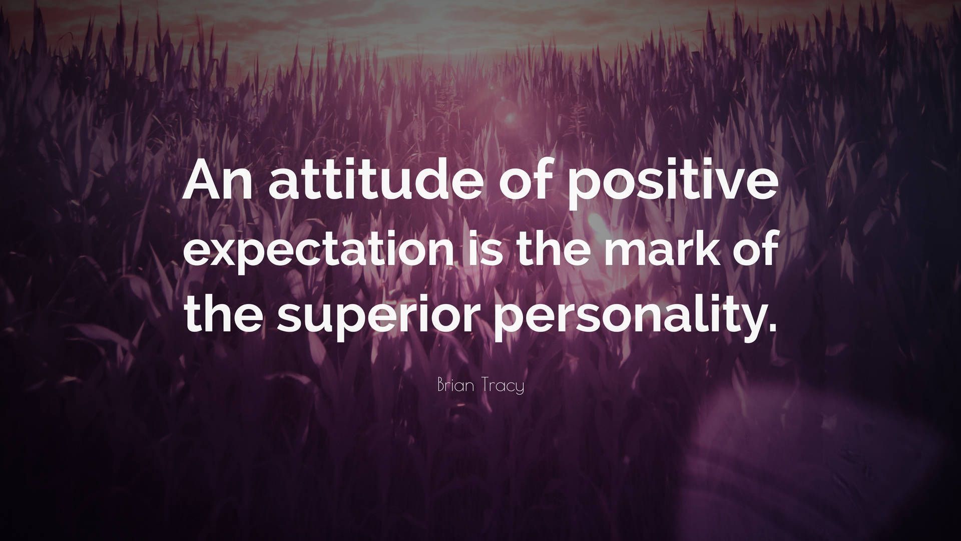 1920x1080 Brian Tracy Positive Quotes Wallpaper