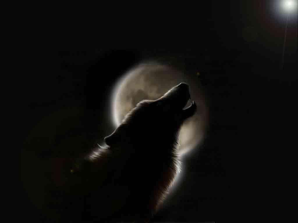 1024x768 Free Wallpaper Werewolf wallpaper. Werewolves v