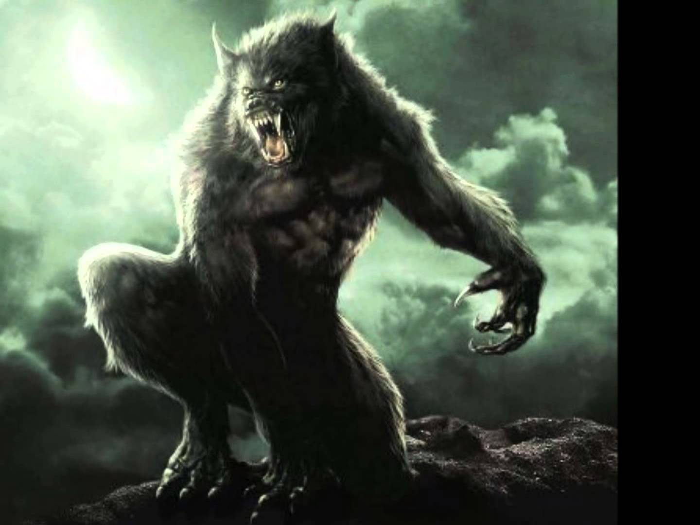 Van Helsing Werewolf Wallpapers - Top Free Van Helsing Werewolf ...