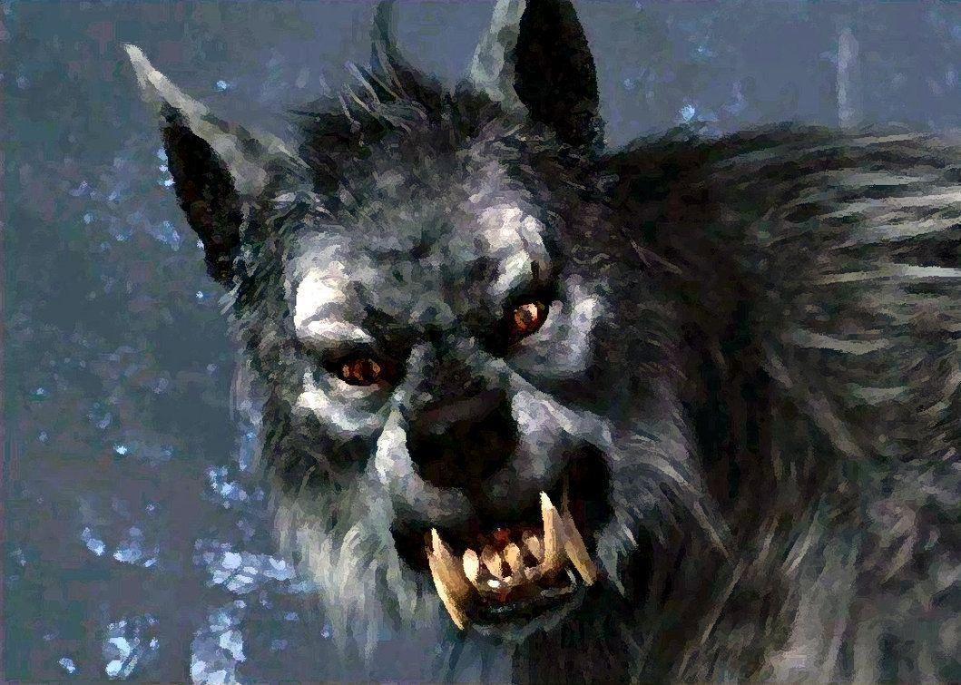 Werewolf 1080P, 2K, 4K, 5K HD wallpapers free download | Wallpaper Flare