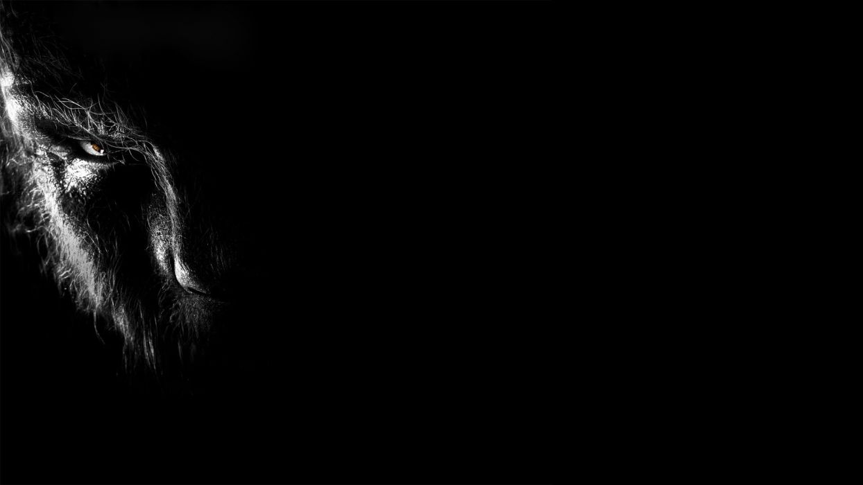 1244x700 THE WOLFMAN dark werewolf f wallpaperx1080