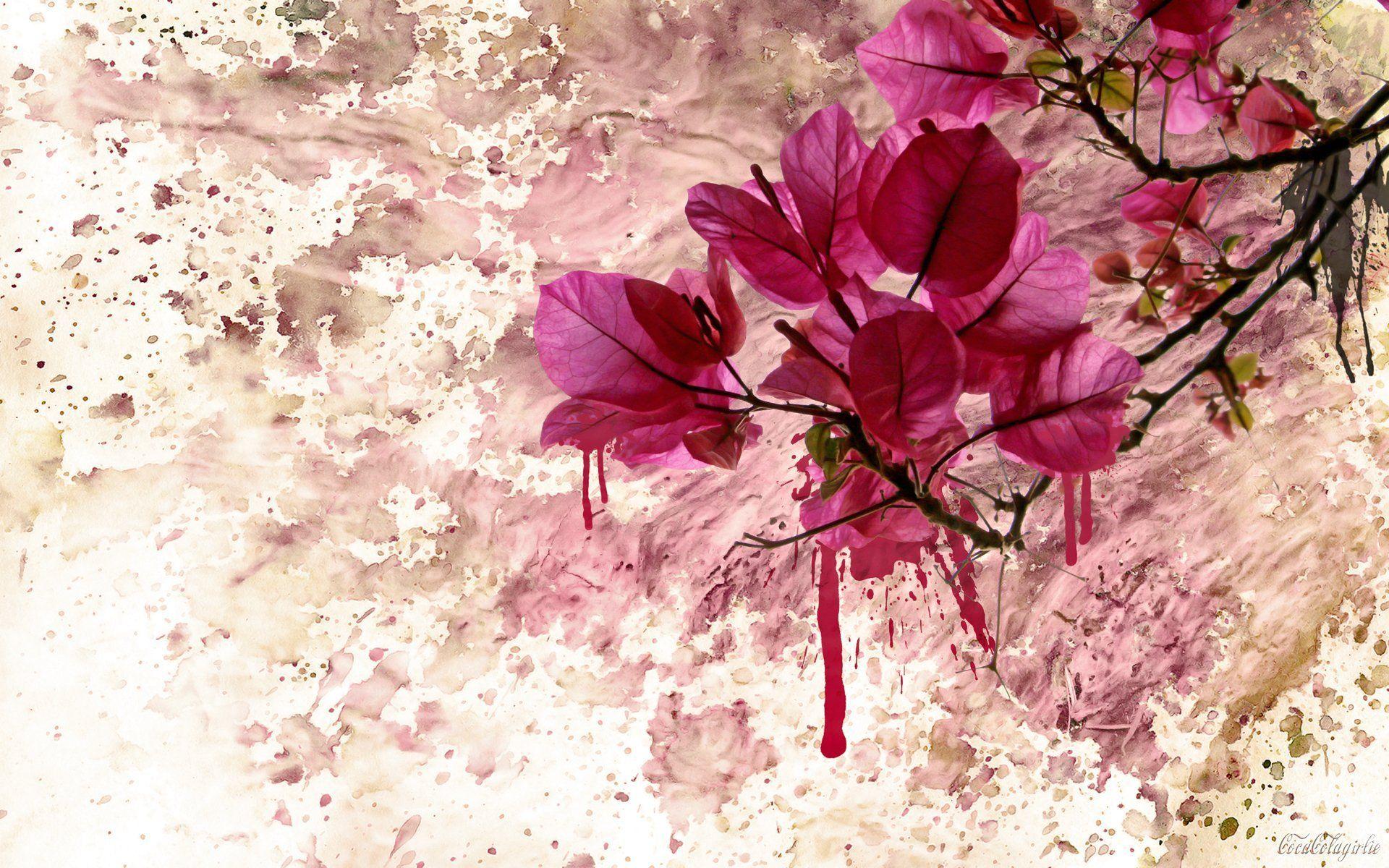 Aesthetic Flower Art Wallpapers Top Free Aesthetic Flower Art Aesthetic Flower Art Wallpapers Top Free Aesthetic Flower Art