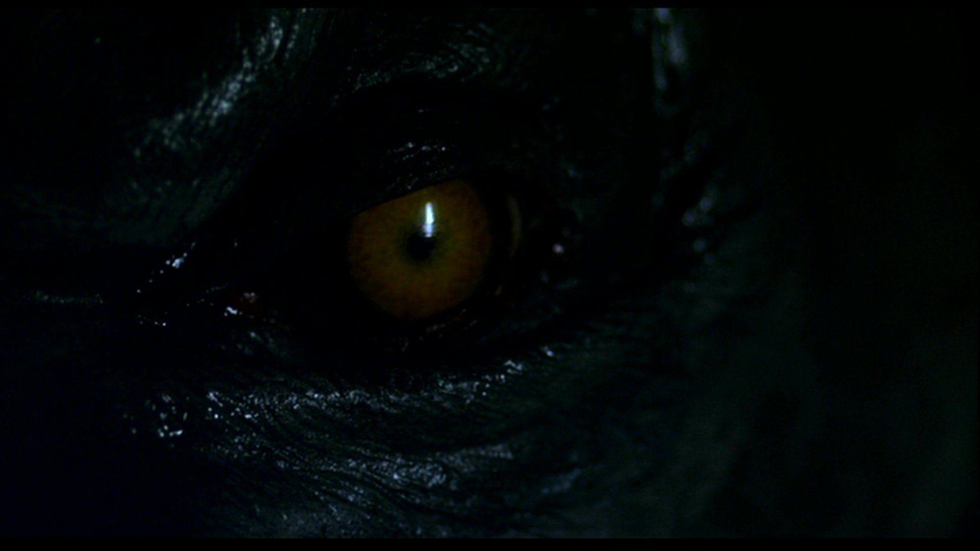 1920x1080 Werewolf The Beast Among Us HD Wallpaper. Background