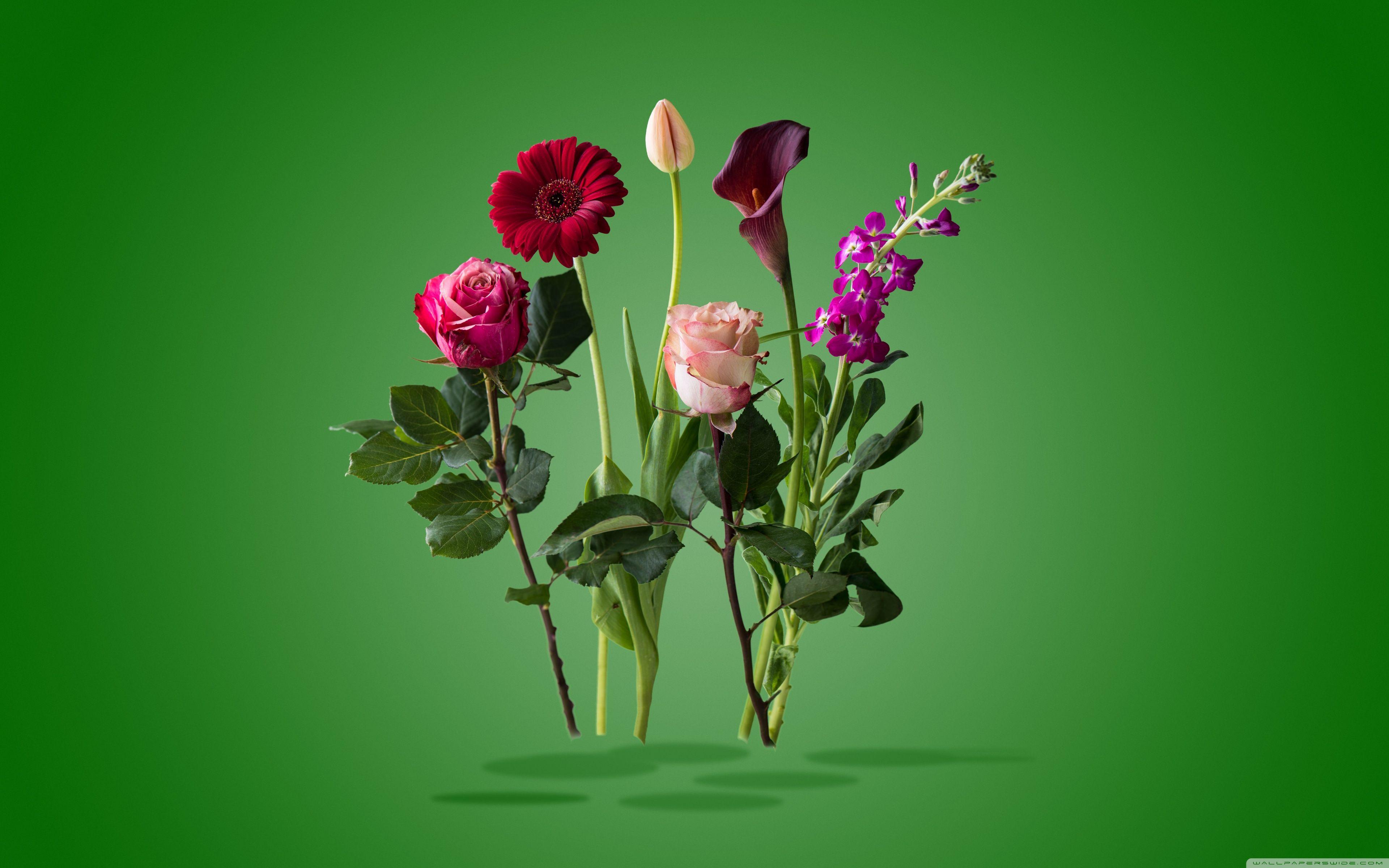 Flower Art Wallpapers Top Free Flower Art Backgrounds WallpaperAccess